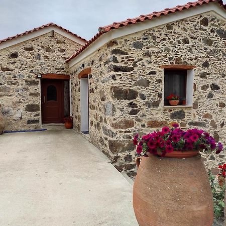 Alexander'S Cottage Limni  Exterior foto